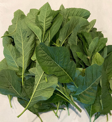 Farm fresh bitterleaf, bitter leaf, onugbu, ewuro,shuwaka,ndoleh(one  pound per bunch)